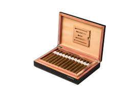 Signature Collection - Torpedo Mediano - Box of 24